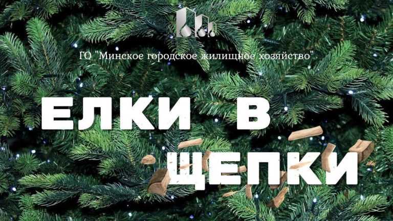 В Минске проходит акция «Елки в щепки»!