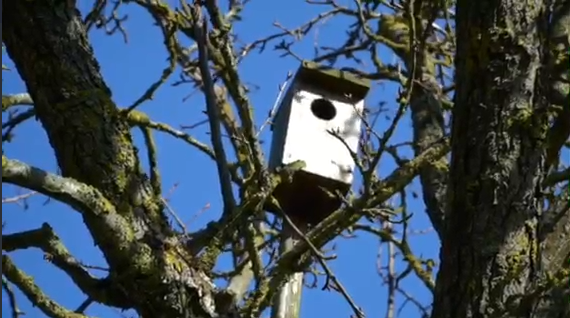 МЖКХ призывает каждого жителя Беларуси присоединиться к инициативе по наведению порядка #НаРоднойЗемлеЖивиКакХозяин!